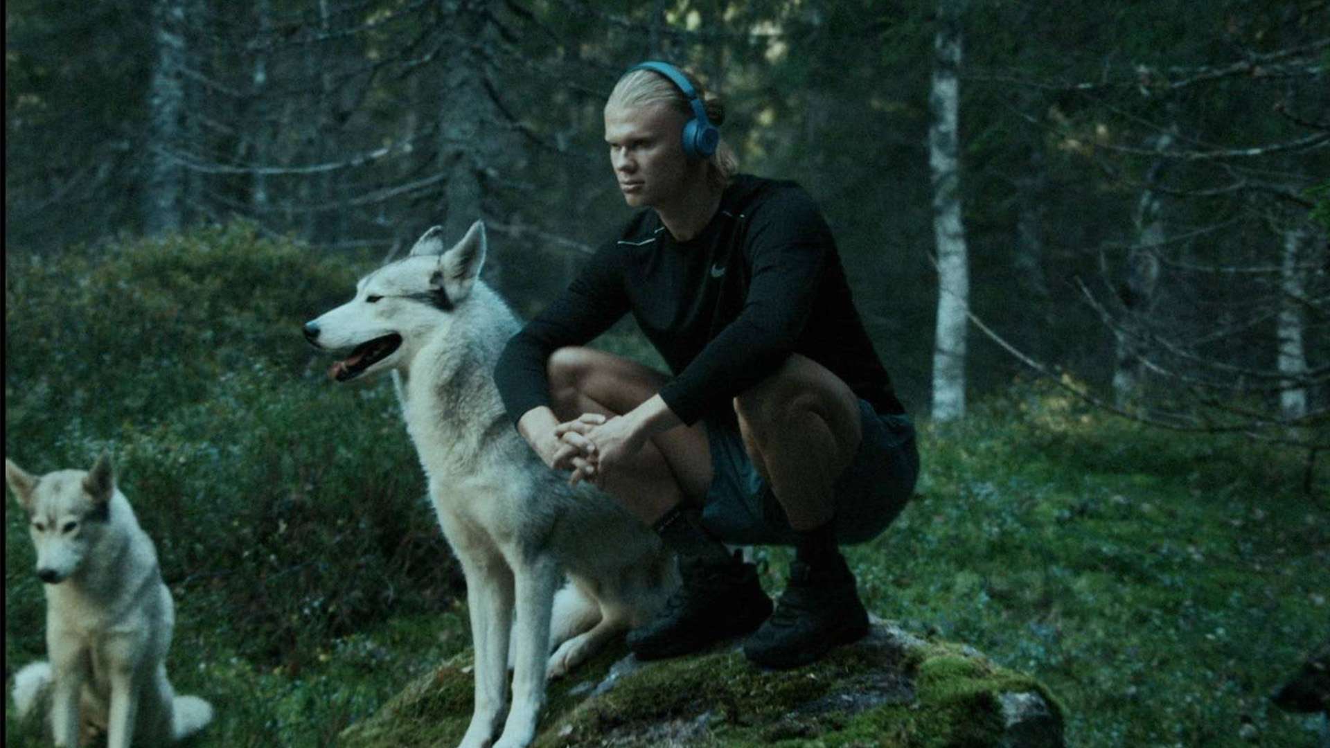 因此乱了阵 因此乱了阵